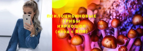 спиды Горнозаводск
