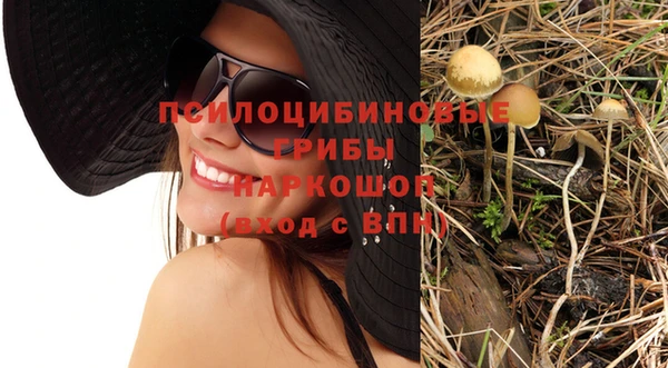мдпв Вязники