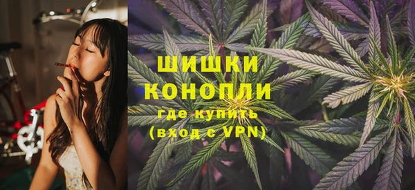 мдпв Вязники