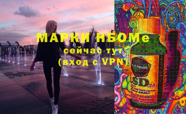ешки Вяземский