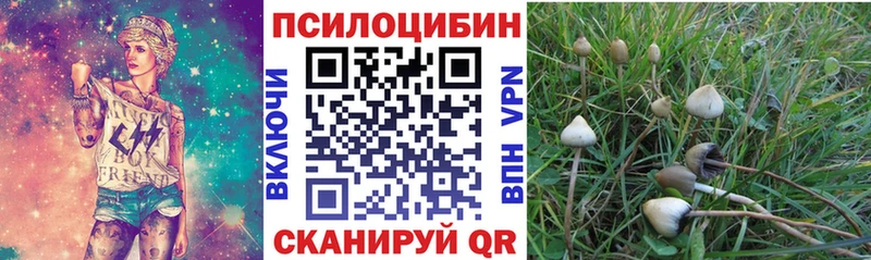 Псилоцибиновые грибы ЛСД  Пикалёво 